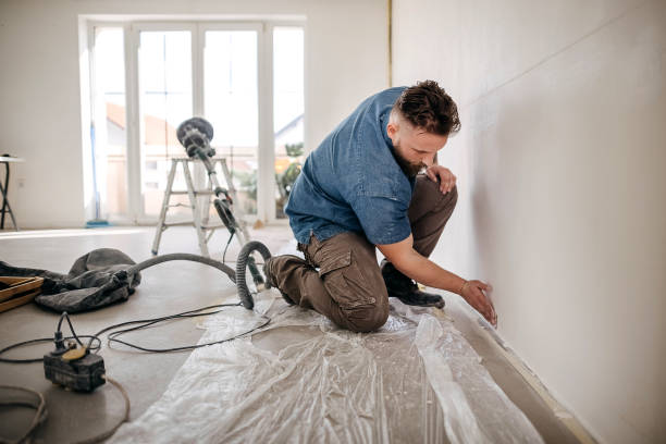  Maple Grove, MN Drywall and Painting Service Pros