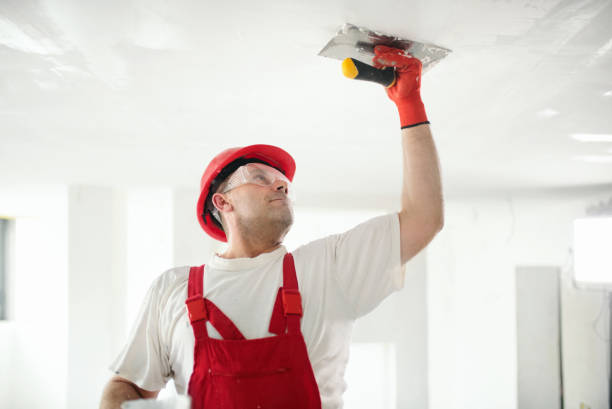 Best Wallpaper Removal and Painting  in Maple Grove, MN