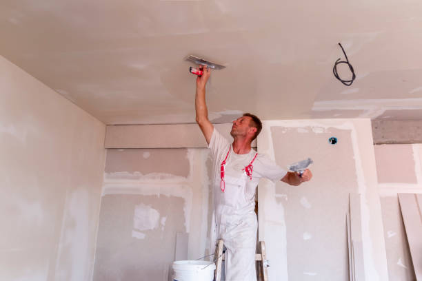 Best Ceiling Drywall Installation  in Maple Grove, MN